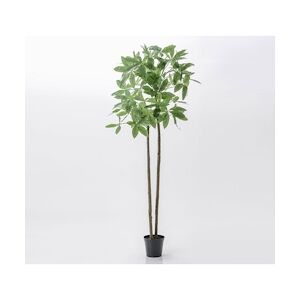 Pachira pot Hauteur 280 cm - Multicolore Plastique Lou De Castellane 0.01x0.01 cm