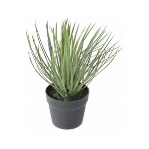 VERT ESPACE plante artificielle yucca rostrata 40 cm