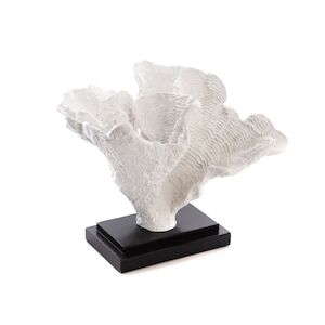 AMADEUS Corail à poser - Blanc Autre Résine Amadeus 15.8x20.3 cm