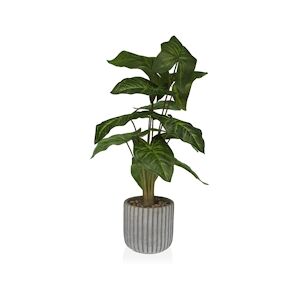 Versa Plante décorative Versa 15 x 53 x 15 cm plastique