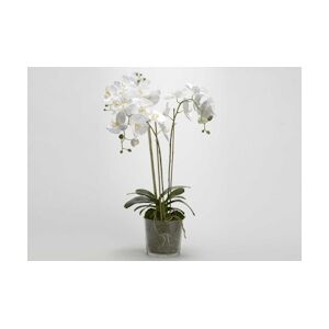 Orchidée Phalae Diva blanc 91 cm - Tissu Lou De Castellane 0.01x0.01 cm