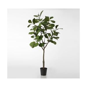 Ficus Lyrata 200 cm - Vert Autre Plastique Lou De Castellane 0.01x0.01 cm