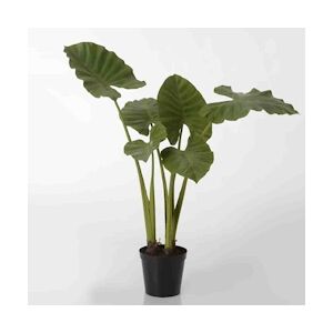 Alocasia royal Hauteur 130 cm - Multicolore Lou De Castellane 0.01x0.01 cm