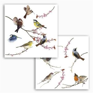 'Komar Window Stickers pour"Birds, 1 pièce, multicolore, 16003 - Publicité