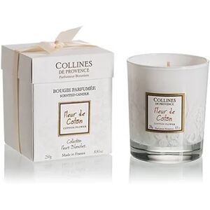 Collines de Provence Bougie Fleur Coton 250g