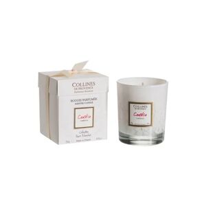 Collines de Provence Bougie Camélia 250g