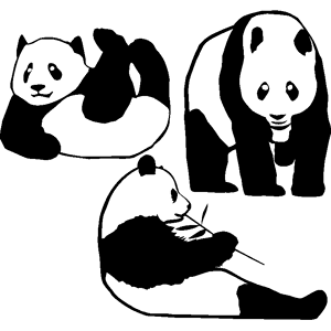 Ambiance-sticker Sticker La vie des pandas