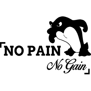 Ambiance-sticker Sticker No pain no gain fun