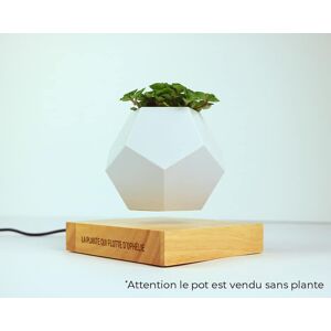 Cadeaux.com Pot de fleur en levitation personnalisable