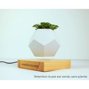 Cadeaux.com Pot de fleur en lévitation personnalisable - Publicité