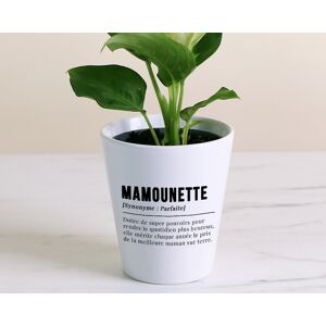 Cadeaux.com Pot de fleurs personnalisé - Définition Maman - Publicité