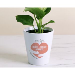 Cadeaux.com Pot de fleurs personnalisable - C