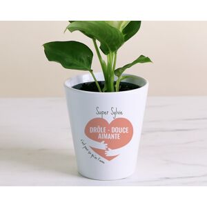 Cadeaux.com Pot de fleurs personnalisable - C'est pour ça qu'on t'aime - Publicité