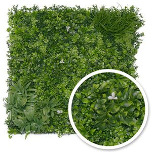 Mur vegetal Liseron : 1m x1m