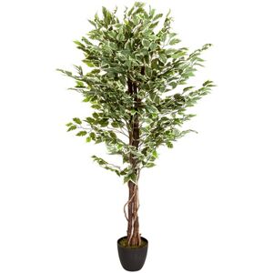 hjh OFFICE FICUS   Plante artificielle - Vert