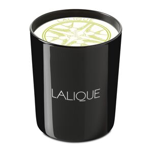 Lalique Bougie Yuzu Shikoku