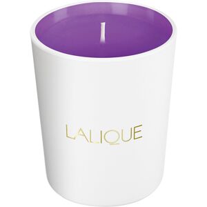 Lalique Bougie Electric Purple Chez Soi