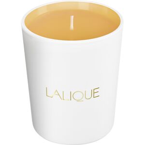 Lalique Bougie Sweet Amber Chez Soi