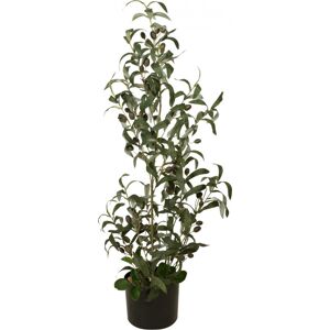 EUROPALMS Olivier, plante artificielle, 90 cm - Arbres