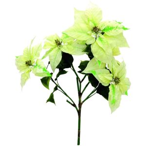 EUROPALMS Buisson de poinsettia, creme, 60cm - Deco d'hiver & bricolage