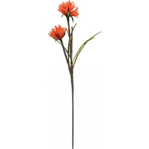 EUROPALMS Dahlia (EVA), plante artificielle, orange, 100cm - Branches et buissons