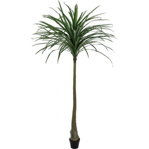 Europalms EUROPALMES Dracena, vert, artificiel, 220cm - Palmiers