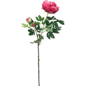 EUROPALMS Branche de pivoine premium, plante artificielle, magenta, 100cm - Branches et buissons