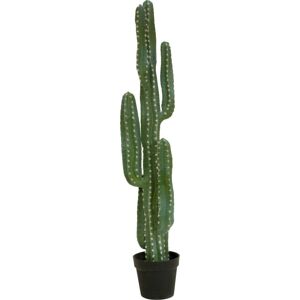 EUROPALMS Cactus mexicain, plante artificielle, vert, 123cm - Cacti