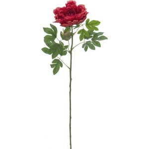 EUROPALMS Branche de pivoine classique, plante artificielle, magenta, 80cm - Branches et buissons