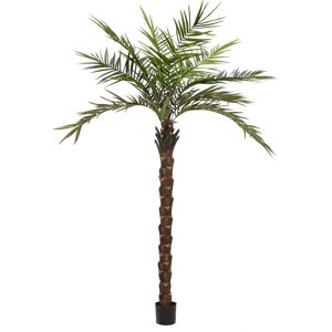 EUROPALMS Palmier Kentia deluxe, plante artificielle, 300cm - Palmiers