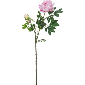 EUROPALMS Branche de pivoine premium, plante artificielle, rose, 100cm - Branches et buissons
