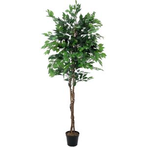 EUROPALMS Ficus Tree Multi-Trunk, plante artificielle, 210cm - Arbres