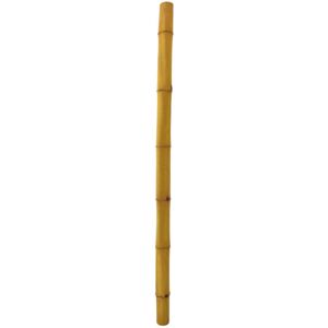 Europalms Bambootube, Ø=12cm, 200cm - Branches et buissons