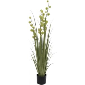 EUROPALMS Allium Grass, artificiel, 122cm - Herbes