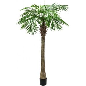 EUROPALMS Phoenix palmier luxor, plante artificielle, 240cm - Palmiers