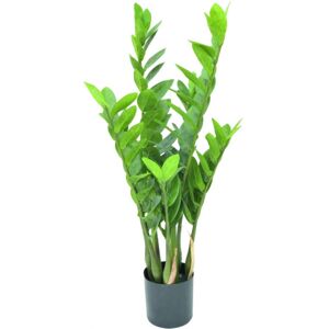 Europalms EUROPALMES Zamifolia, plante artificielle, 70cm - Fleurs