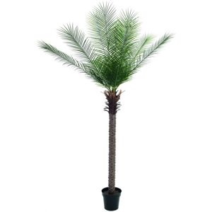 EUROPALMS Phoenix palm deluxe, plante artificielle, 220cm - Palmiers