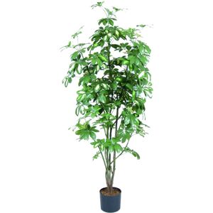 Europalms EUROPALMES Schefflera, artificielle, 90cm - Branches et buissons