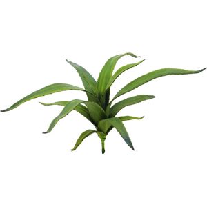 EUROPALMS Aloe (EVA), artificiel, vert, 66cm - Fleurs