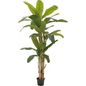 EUROPALMS Bananier, plante artificielle, 240cm - Arbres