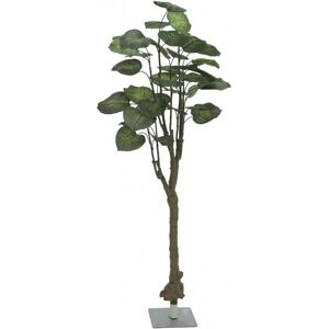 EUROPALMS Pothos tree, plante artificielle, 175cm - Arbres