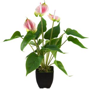 Europalms EUROPALMES Anthurium, plante artificielle, blanc et rose - Arrangements de plantes