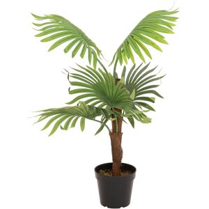EUROPALMS Palmier éventail, plante artificielle, 88cm - Palmiers