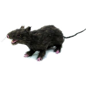 EUROPALMS Rat, réaliste avec manteau 30cm - Décoration Halloween