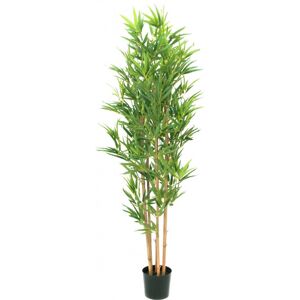 EUROPALMS Bambou deluxe, plante artificielle, 150cm - Arbres