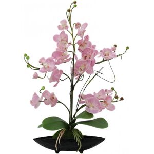 EUROPALMS Composition d'orchidees (EVA), artificielles, violettes - Fleurs