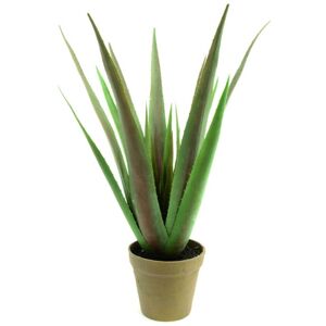 EUROPALMS Plante d'aloe vera, plante artificielle, 60cm - Arrangements de plantes