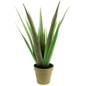 EUROPALMS Plante d'aloe vera, plante artificielle, 60cm - Arrangements de plantes