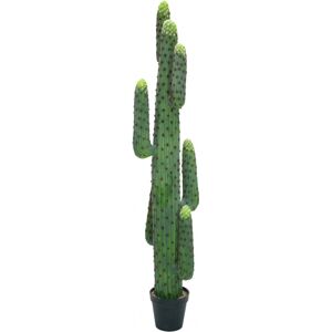 EUROPALMS Cactus mexicain, plante artificielle, vert, 173cm - Cacti