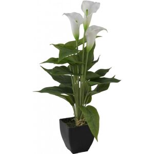 EUROPALMS Mini Calla, plante artificielle, blanc, 43cm - Fleurs